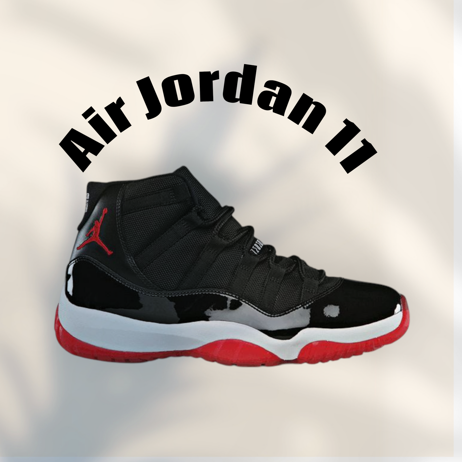 Air Jordan 11