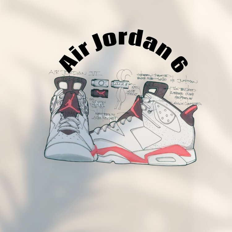 Air Jordan 6