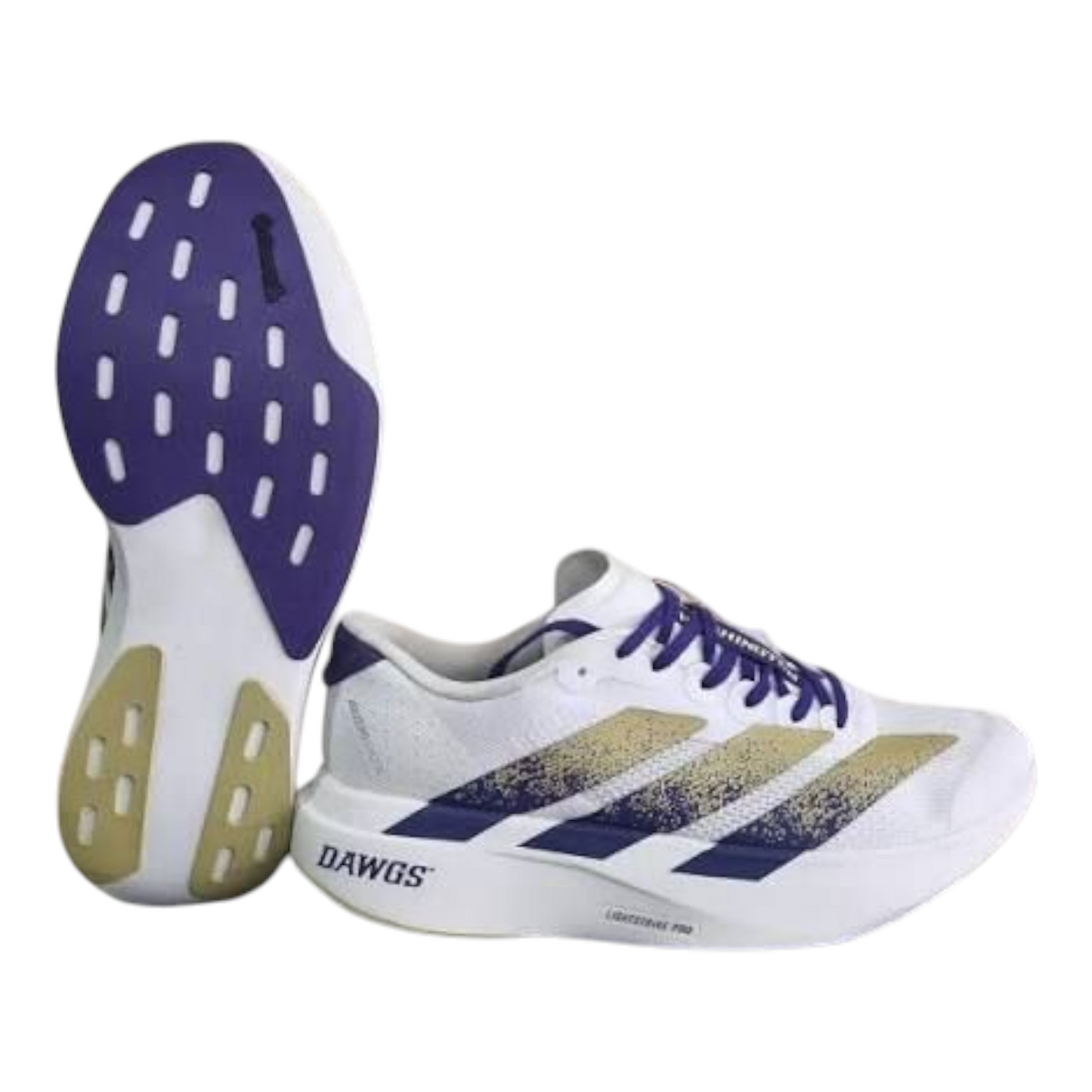 Adidas Adizero Evo SL Washington Huskies