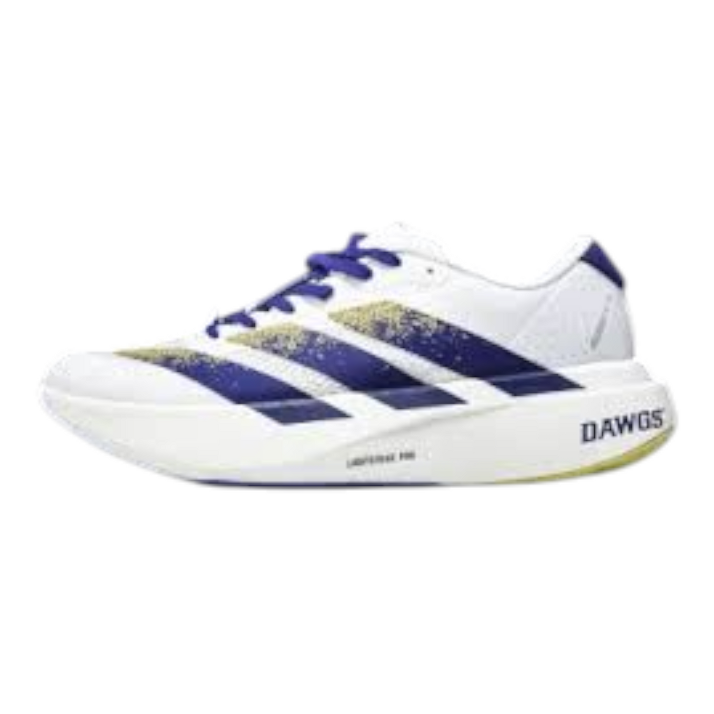 Adidas Adizero Evo SL Washington Huskies